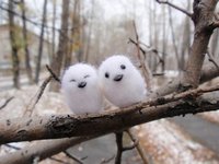 Мастер-класс по валянию снежных птичек