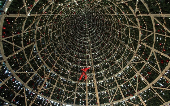 Целая команда из 12 человек всю неделю устанавливала эту елку весом в 18 тонн. Она стоит на бетонных сваях, вбитых на 12 метров в землю