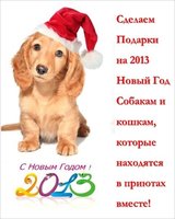 «Новогодний подарок для Шарика — 2»