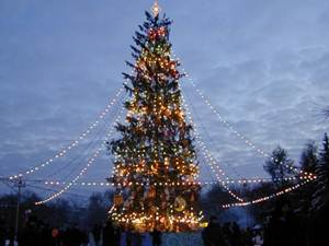 Елка в Иркутске. Фото с сайта www.baikalarea.ru