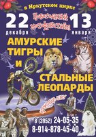 «Новогоднее представление в Иркутском цирке»