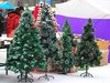 Всемирный фонд дикой природы призывает ставить на Новый год живые елки вместо искусственных Всемирный фонд дикой природы призывает ставить на Новый год живые елки вместо искусственных
