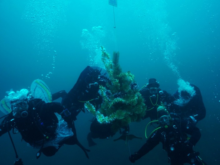 Фото предоставлено «Аква-эко»