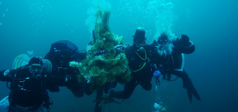 Ежегодно дайверы и водолазы устраивают елку под водой. Эта традиция родилась почти 30 лет назад.
