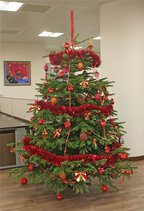 Живая елочка