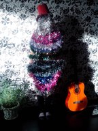 Зимой и летом стройная зеленая была.