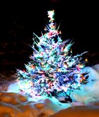 Фикусная елочка)