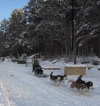 Город салютует