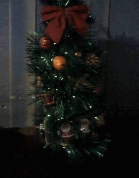 Моя Ёлочка.