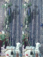 Зимой и летом стройная зеленая была.