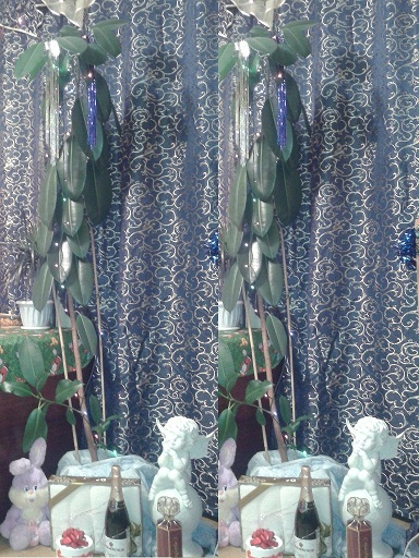 Фикусная елочка)