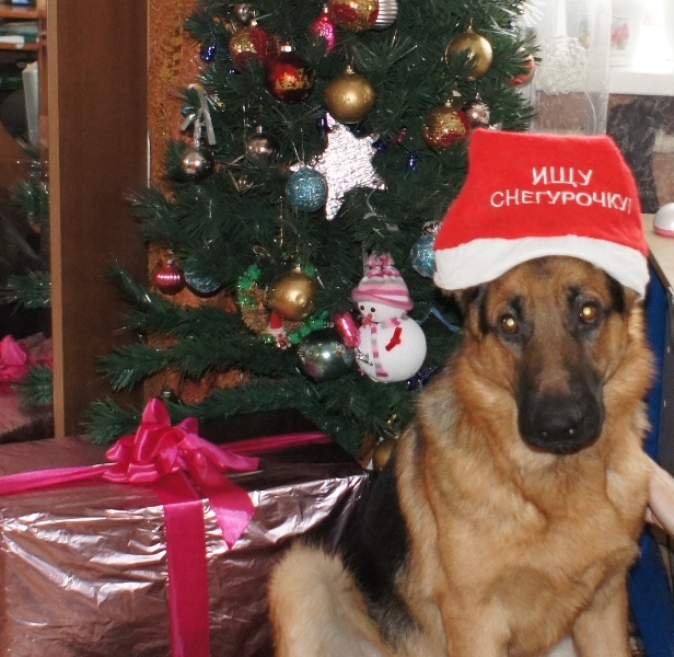 Тоже костюм!