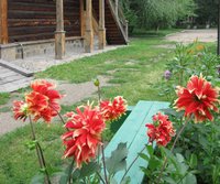 «Праздник цветов»