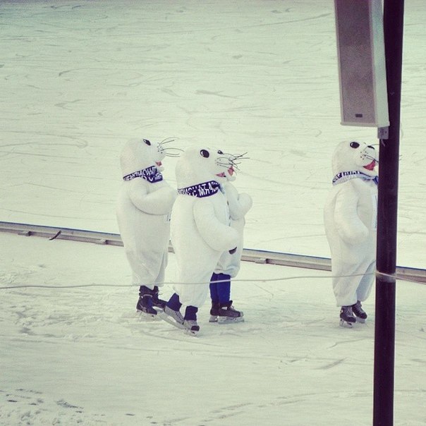 Фото Владимира Боровика