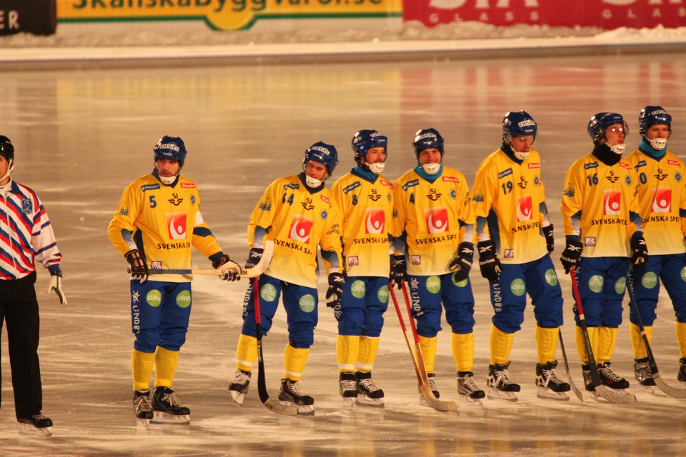 Шведы. Фото Софьи Сомовой