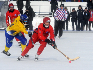 Матч Россия — Швеция. Фото Юрия Назырова